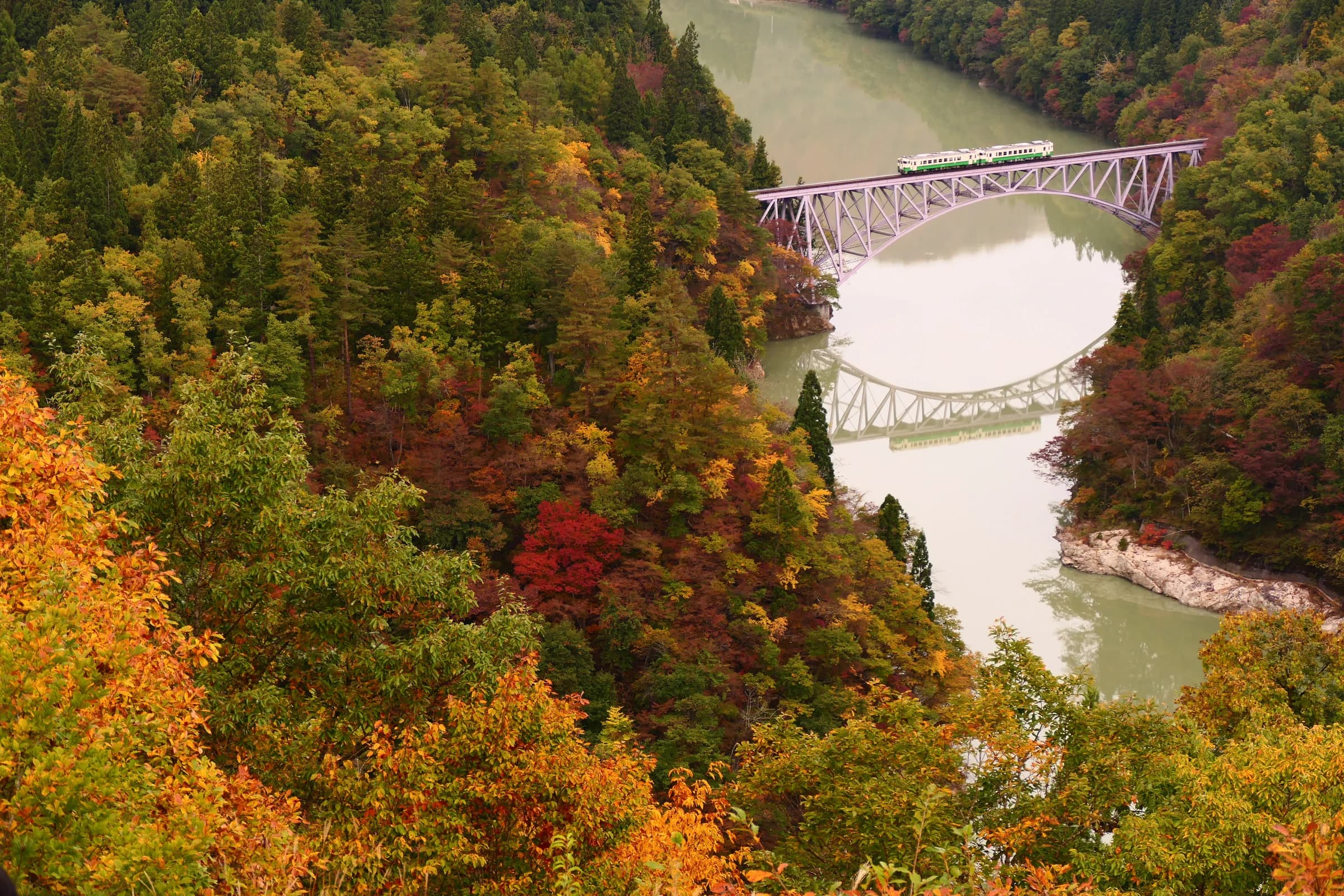 A Japanese local train crossing the Tadami River bridge amid autumn forest in Fukushima